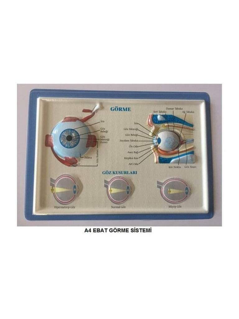 PUTI KABARTMALI GORME SISTEMI