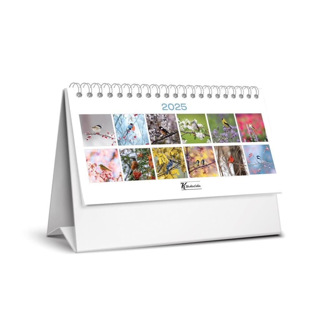 KESKIN MASA TAKVIMI UCGEN 2025 KAR.KUSLAR MTK-822