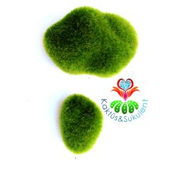 Yeşil Renk Yapay Yosun- Canlı Renkli 3 cm ve 7 cm Büyüklükte 2 Parça Bir Pakette Mini Bahçe,Sukulent
