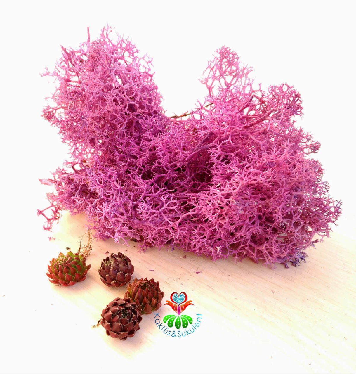 Mor Renk Canlı Terraryum Yosunu- Reindeer Moss- Rengeyiği Yosunu-Likeni,Mini Bahçe,Yosun,Sukulent