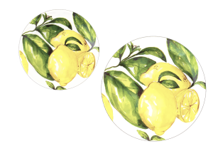 Citrus Collection 4'lü Küçük Melamin Tabak Seti