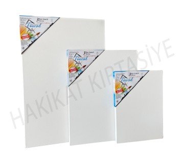 Art İstanbul Profesyonel Tuval 90x130 Standart Şasi