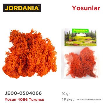 Jordania Yosun 4066 Turuncu 10gr