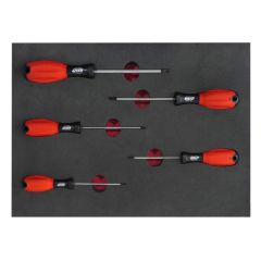 Brio Tornavida Seti Torx (Tork) 5 Parça T10-T30 Sünger Yataklı