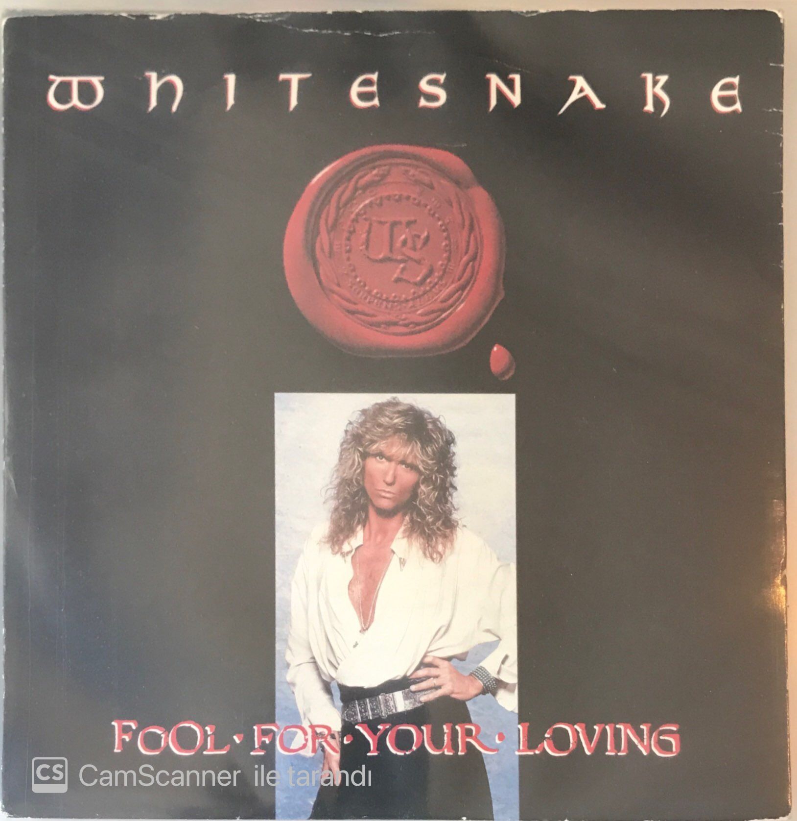 Whitesnake - Fool For Your Loving 45lik