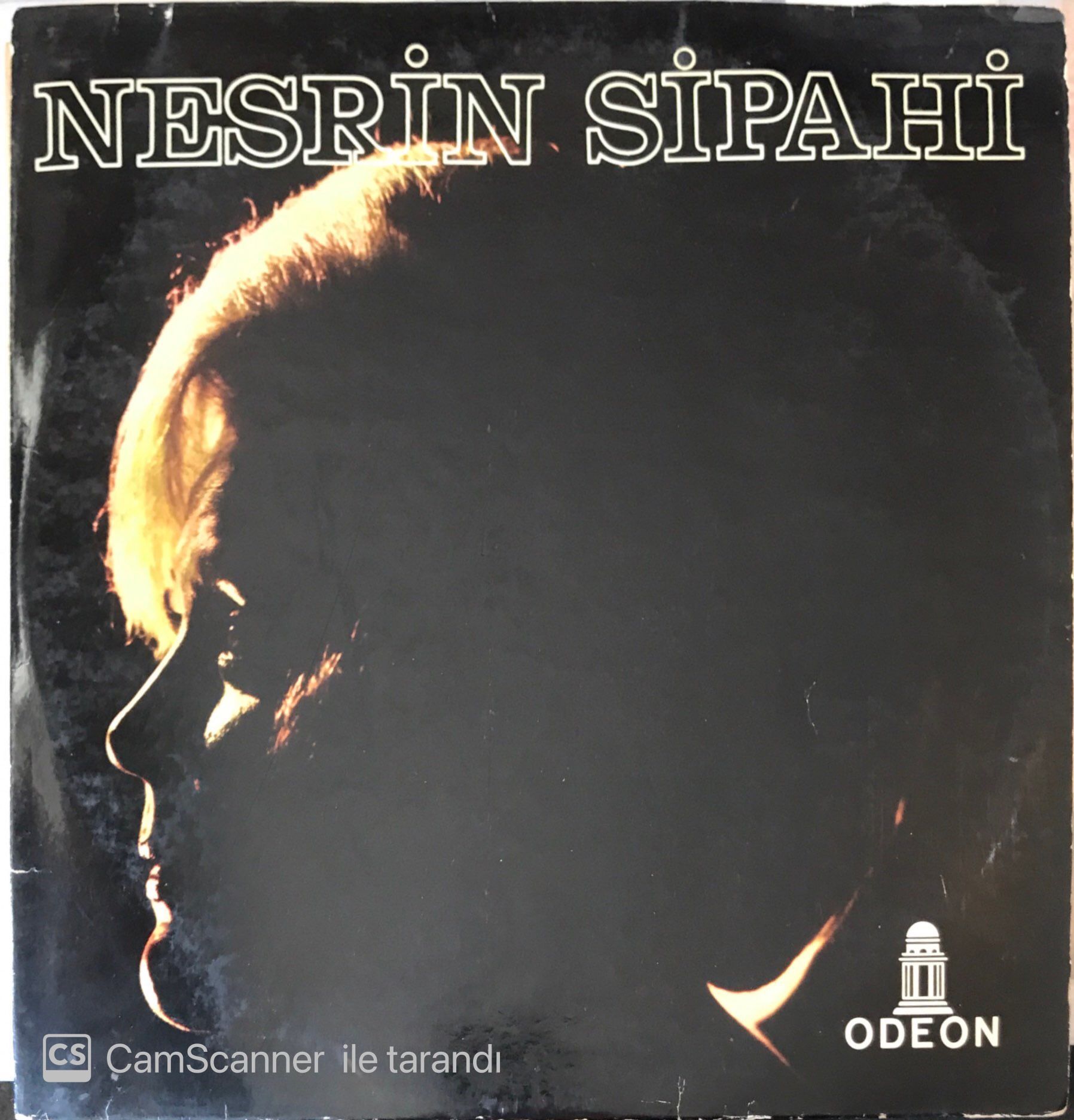 Nesrin Sipahi - Seninle Bir Sonbahar LP