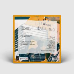 Başak Yavuz – RAUM 610 LP