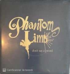 Phantom Limb - Don't Say A Word 45lik
