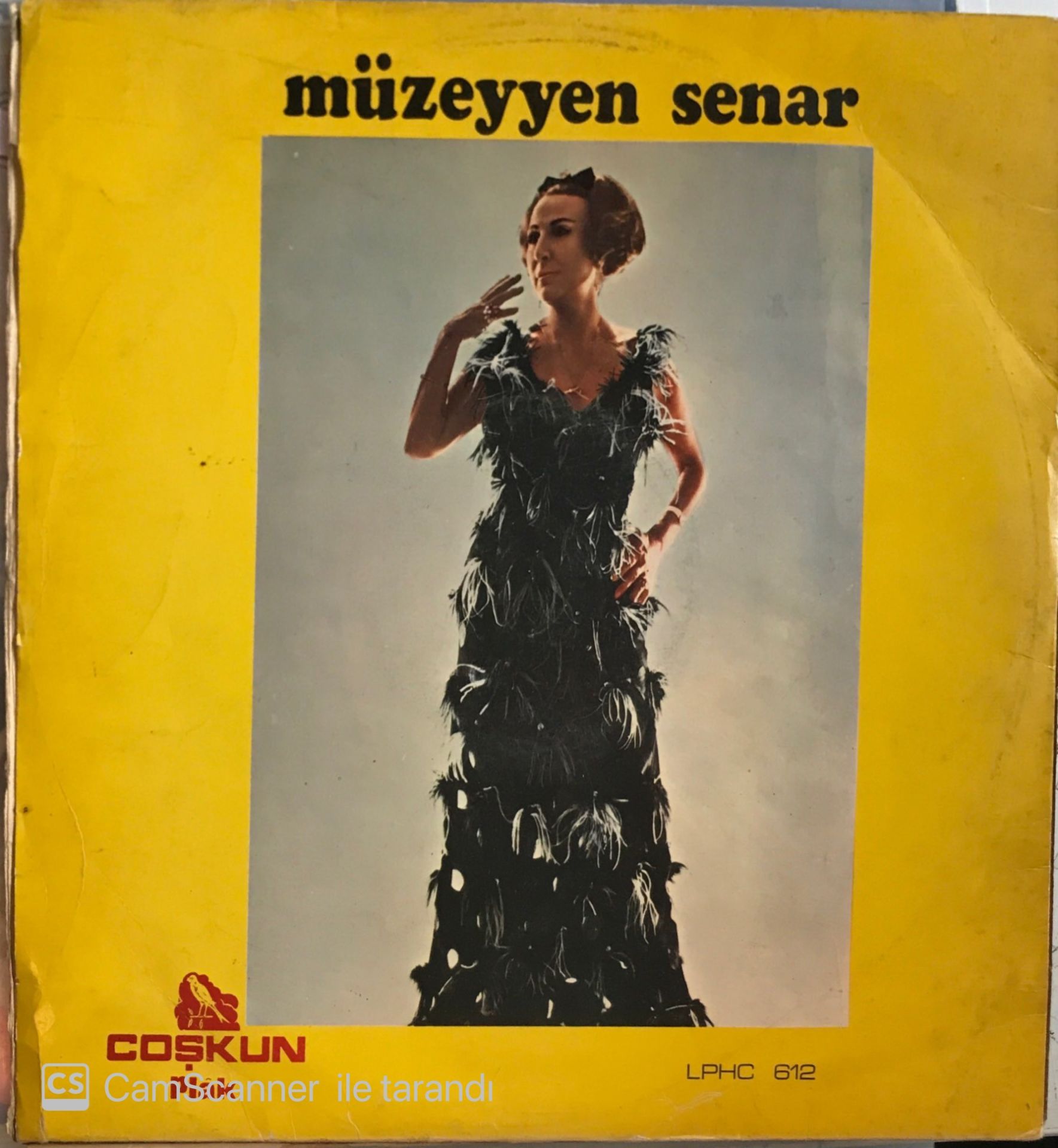 Müzeyyen Senar - Ne Yaptım Kendimi Nasıl Aldattım LP