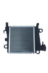 Nmax 125 155 Radyatör Moto11