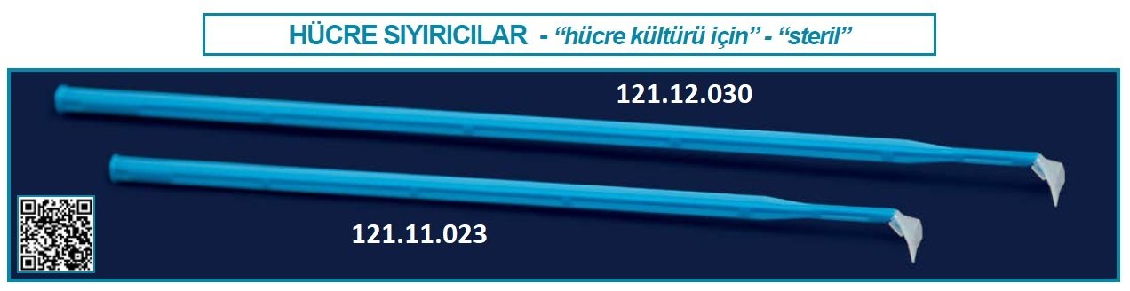 İSOLAB 121.12.030 hücre sıyırıcı - 30 mm (150 adet)