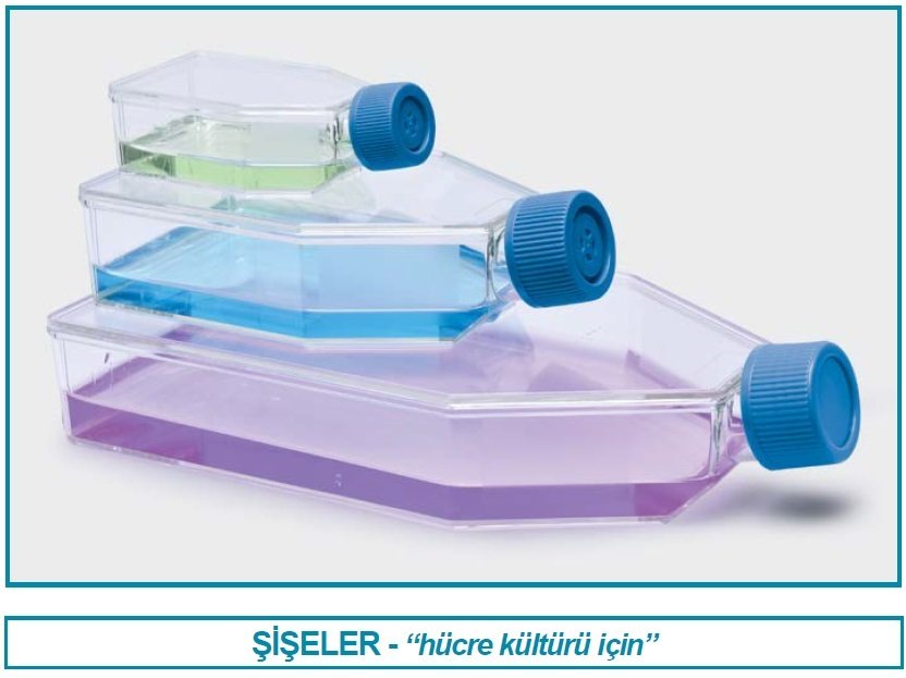 İSOLAB 120.12.075 şişe - hücre kültürü - kapalı kapaklı - 75 cm2 - 25 ml (100 adet)