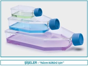 İSOLAB 120.12.175 şişe - hücre kültürü - kapalı kapaklı - 175 cm2 - 50 ml (40 adet)