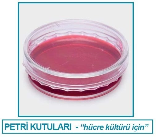 İSOLAB 120.13.035 petri kutusu - hücre kültürü için - 35 mm çap (960 adet)