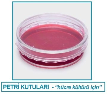 İSOLAB 120.13.035 petri kutusu - hücre kültürü için - 35 mm çap (960 adet)