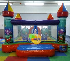 Neşeli Okyanus Pvc Şişme Park 4x5x2.5m