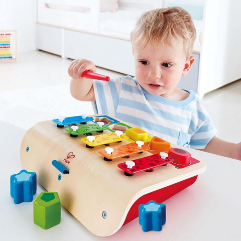 Hape Şekil Eşleştirmeli Ksilofon / Shape Sorter Xylophone