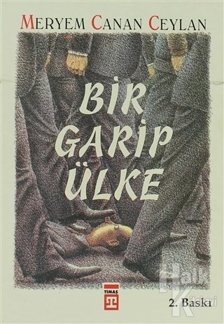 BİR GARİP ÜLKE