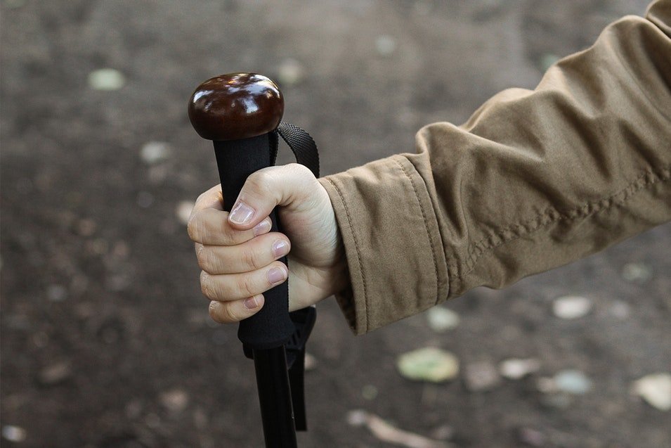 Leki Sierra Photo Baton