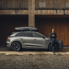 Thule Motion 3 / L Parlak Titan Gri Portbagaj