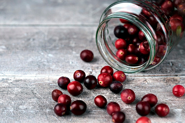 Turna Yemişi (Cranberry) ile Yapılabilecek Lezzetli Tarifler