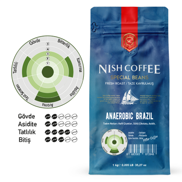 Nish Filtre Kahve Anaerobic Brazil 250 Gr