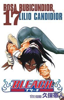 Bleach Cilt 17