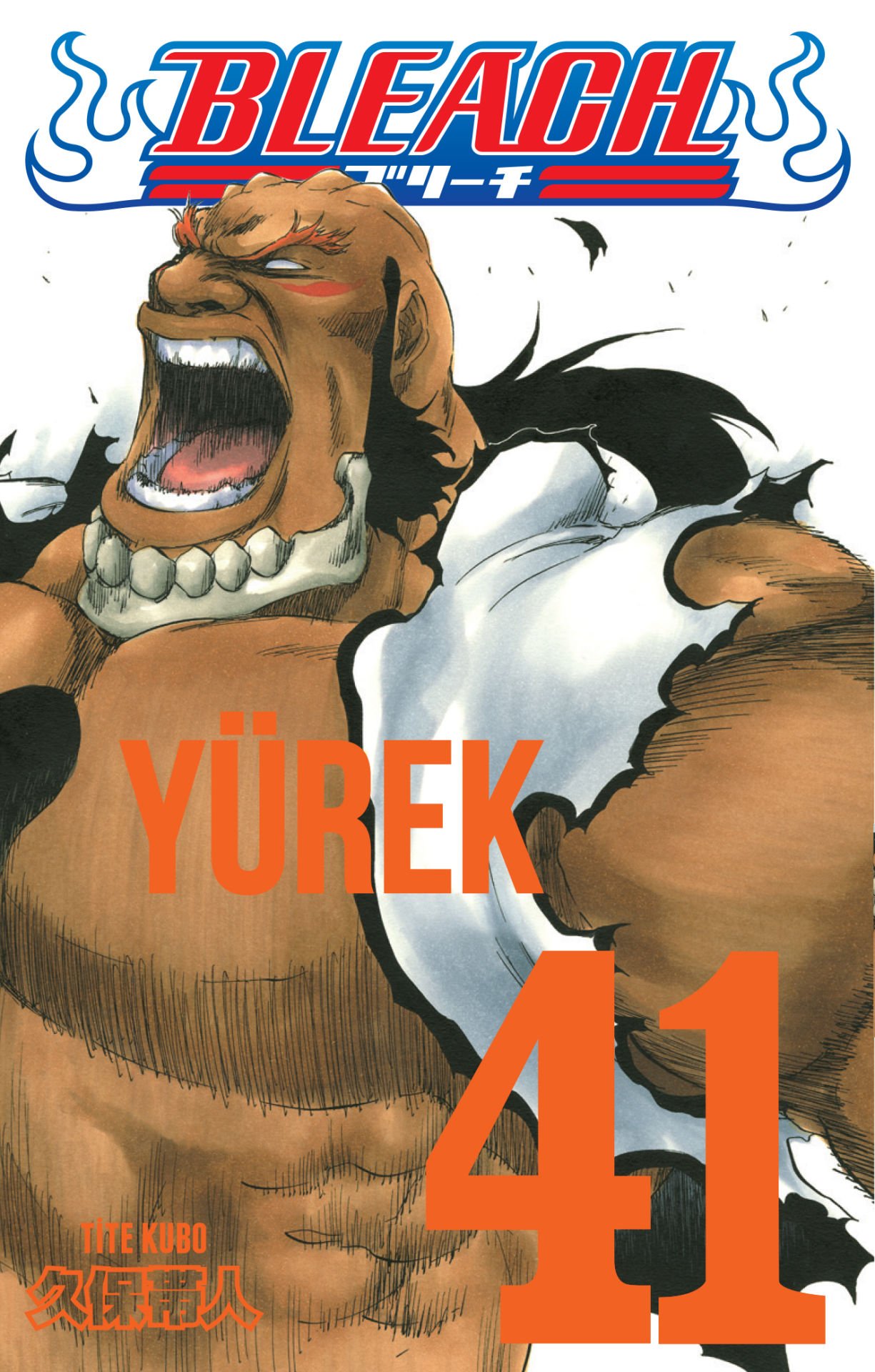 Bleach Cilt 41