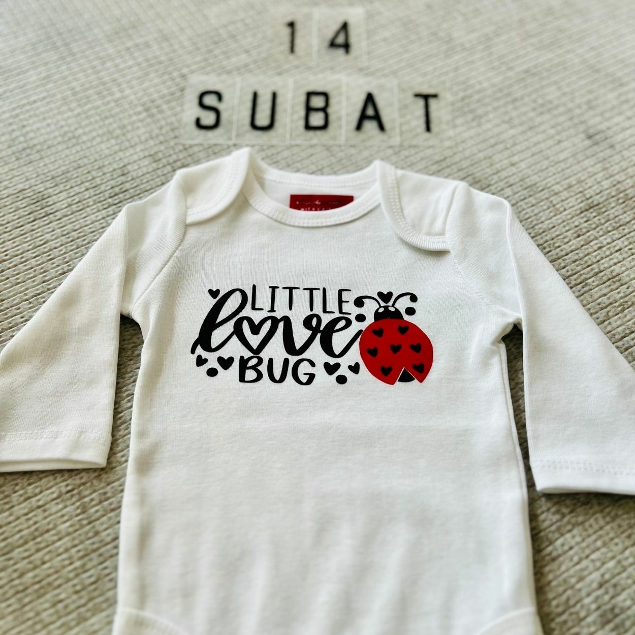 Little Love Bug - Özel Tasarım Bebek Body/Zıbın Baby Bodysuit