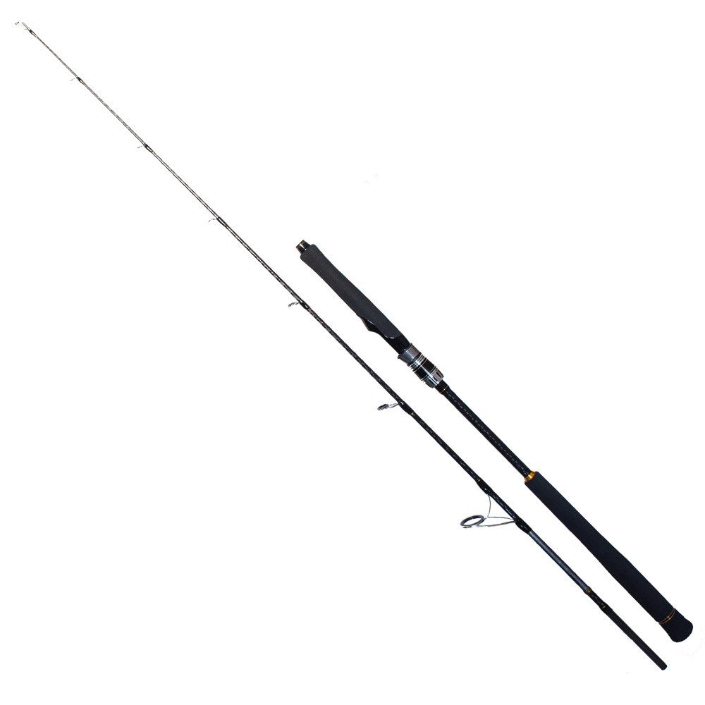 Ryuji Seawolf 1,98 mt 150-250 gr Jig Kamış