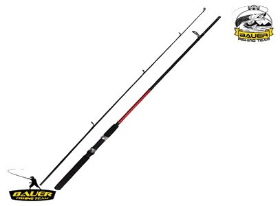 Bauer Spinex 2,40 mt 10-40 gr Kamış