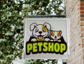 Petshop Led Tabela 60x60cm