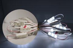 12V Mini Üçlü 0.5W Modül Led Günışığı 3000K