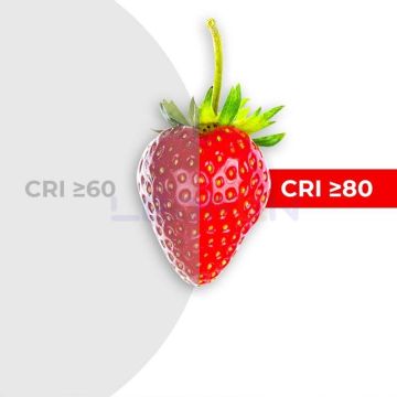 Samsung 12V 14.4W 60 Led IP20 6500K Şerit Led