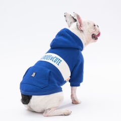 Pawstar Cute Hoodie Mavi Kapşonlu Köpek Sweati XL 23705