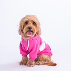 Pawstar Cute Hoodie Pembe Kapşonlu Köpek Sweati XL 23706