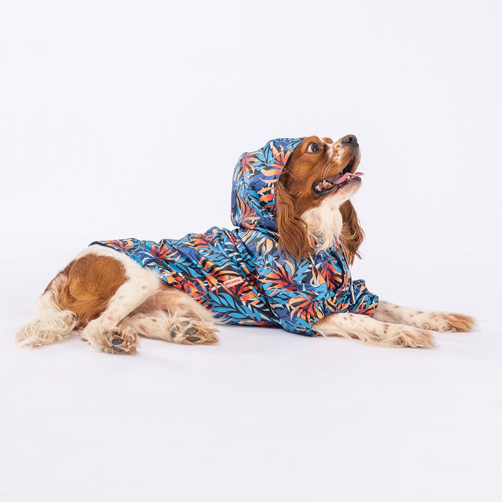 Pawstar Köpek Kıyafeti Autumna Polarlı Yağmurluk 2XL
