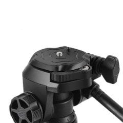 Benro T899N Digital Tripod Kit