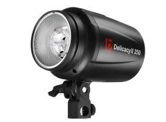 JINBEI Delicacy DII-250w/s Kit 2 li Paraflaş Set