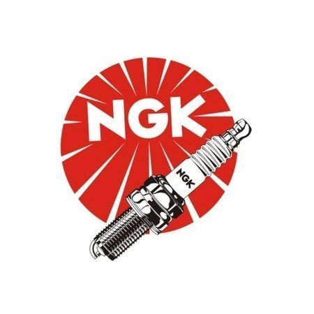 RK DİŞLİ ER6 F-N Ngk Buji