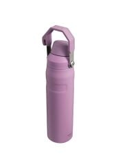 IceFlow™ Fast Flow Soğuk Su Termosu | 0.6L