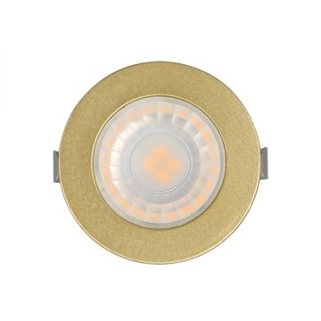 Braytron BH06-00206 Gold Kasa 3 Watt Sıva Altı Dış Mekan Mini LED Spot - Gün Işığı (3000K)