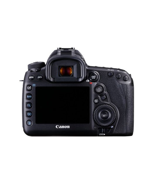 CANON EOS 5D MK IV(WG) EF24-105 L IS