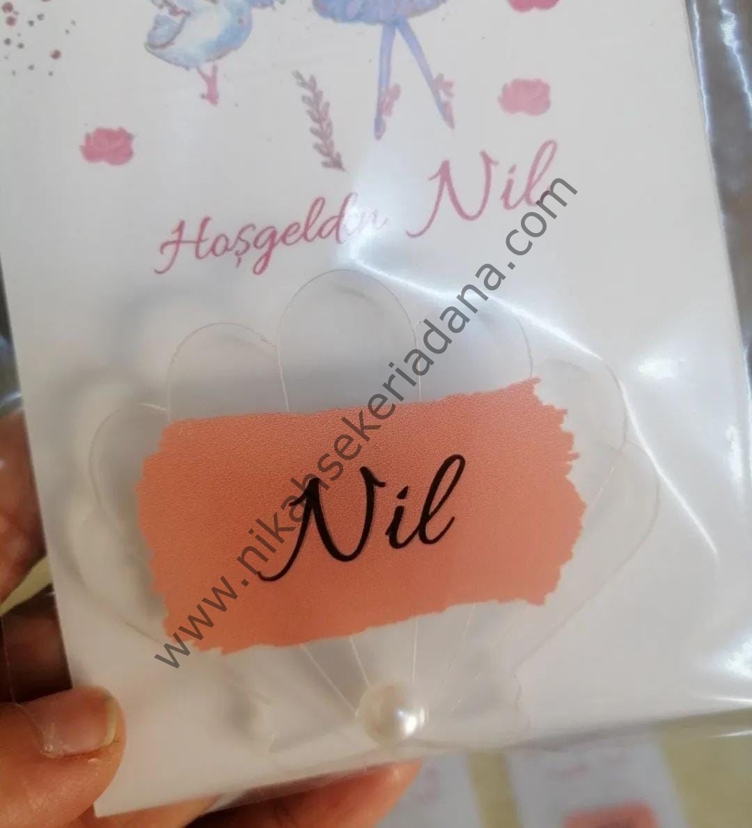 Şeffaf istiridye magnet
