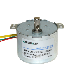 50-KTYZ 10RPM 6W AC Senkron Motor