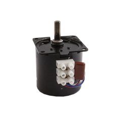 B60-KTYZ 2.5RPM 14W Eksantrik AC Senkron Motor