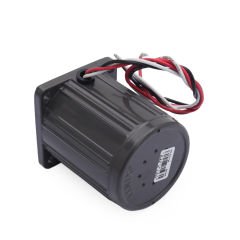 YN60-10 220V 1250RPM AC Motor