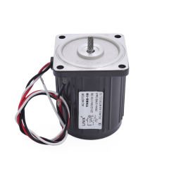 YN60-10 220V 1250RPM AC Motor