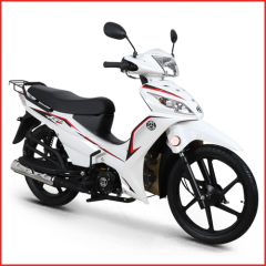 Kuba Motor Ege 50 CC