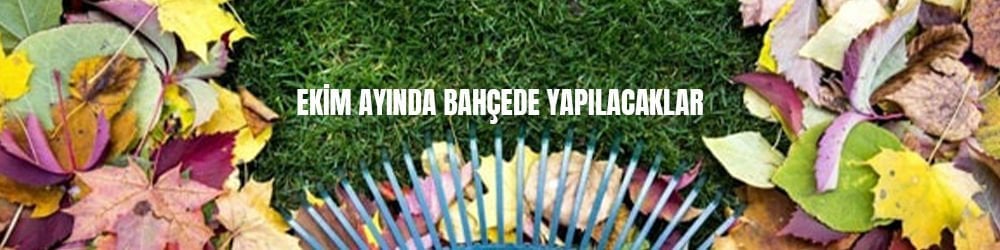 Ekim Ayında Bahçede Yapılması Gereken İşler Nelerdir?